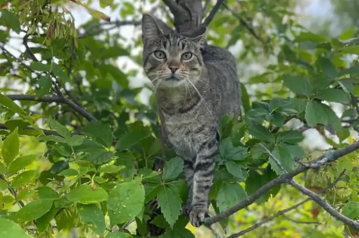 test-image
